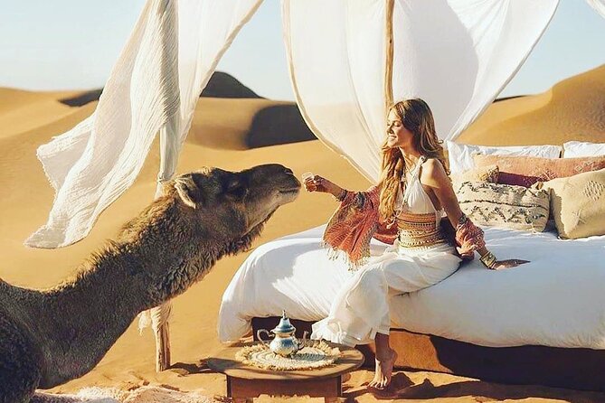 4 Day Morocco Desert Tour From Marrakech to Fes