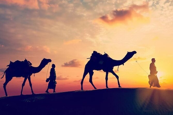4-Day Private South Desert Tour From Agadir Ending in Marrakech - Tour Overview