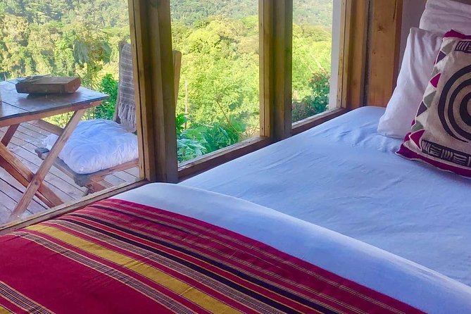 4-Day Private Tour in Bwindi Forest National Park