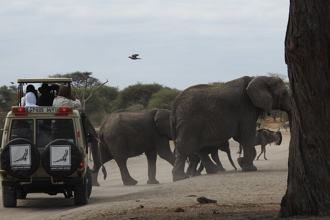4-Day Tarangire, Serengeti, Ngorongoro Crater
