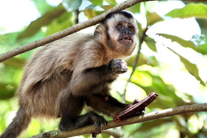 4 Day Tour in Tambopata National Reserve