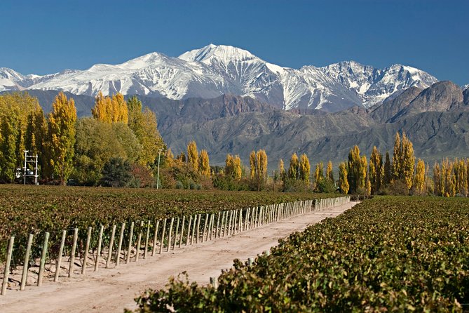 4-Day Trip to Mendoza by Air From Buenos Aires - Exploring Mendozas Mountain and Wine Culture