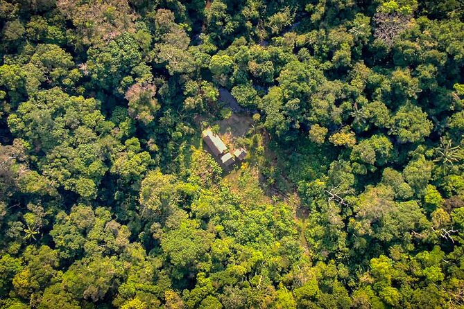 4 Days Deep Jungle Experience