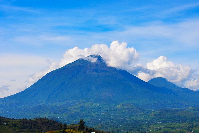 4 Days Gorilla Tracking Tour in Uganda