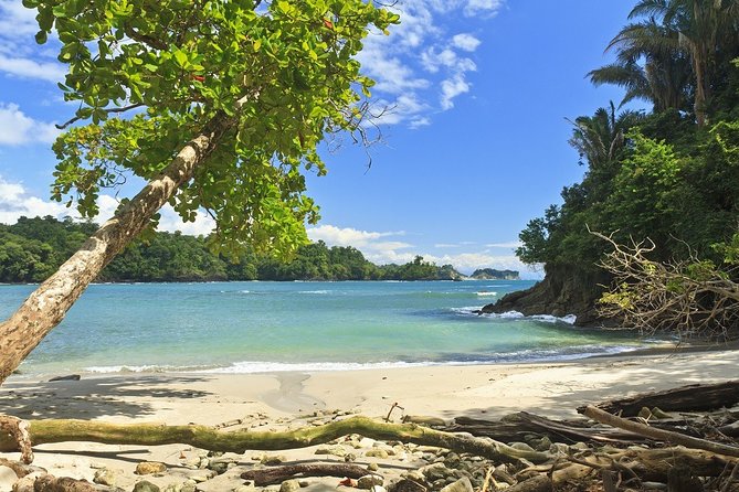 4 Days Manuel Antonio Beach & San José City Short Break From Manuel Antonio