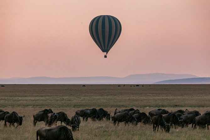 4 Days Masai Mara Safari