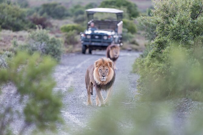 4 Days Private Lodge Safari