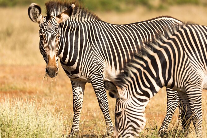 4 Days Safari to Tarangire, Serengeti and Ngorongoro