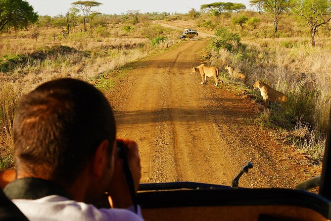 4 Days Tanzania Camping Safari