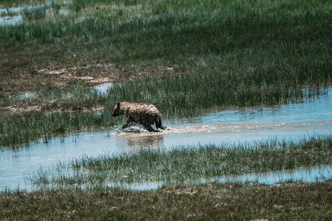 4 Days Tarangire, Serengeti and Ngorongoro Crater Camping Safari