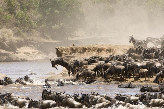 4 Days Tour Landcruiser in Masai Mara and Lake Nakuru