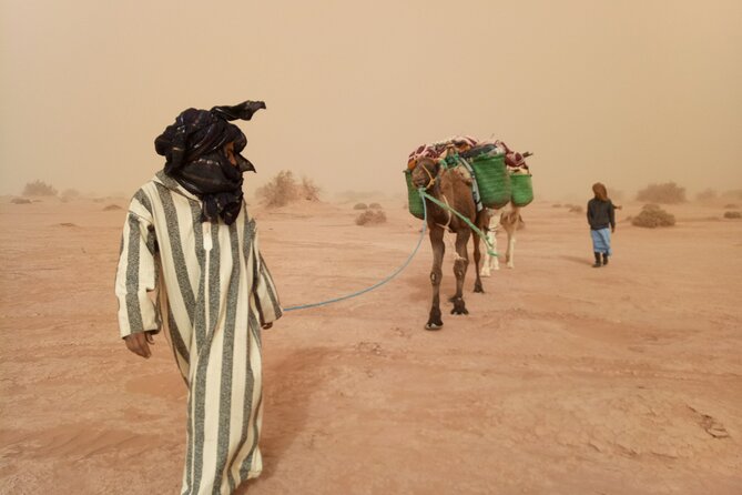 4 Days Trek – the Legs of Camels