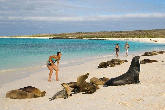 4 Days – Wild San Cristobal