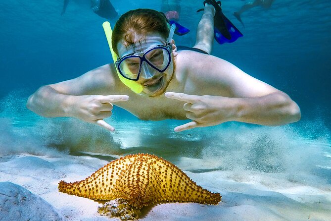 4 Hour Cozumel Reefs Snorkeling