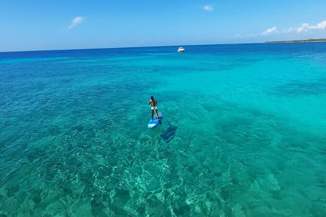 4-Hour Private 40 Luxury Catamaran Tour With Food, Open Bar & Snorkeling