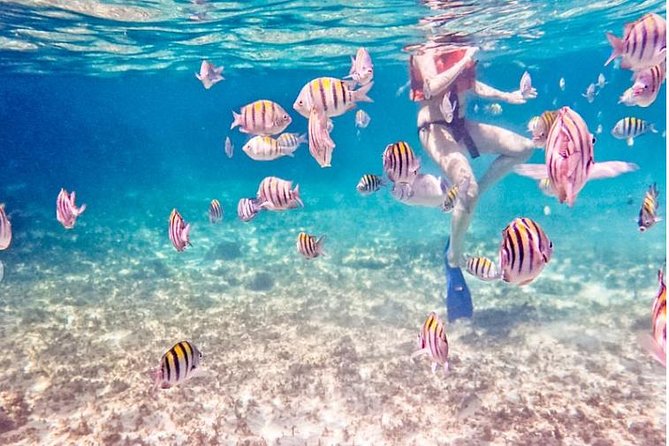 4-Hour Private 44 Leopard Luxury Catamaran Tour W/ Food, Open Bar & Snorkeling