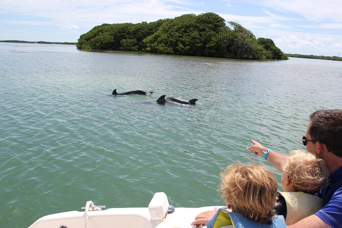4 Hour Private Ecotour and Snorkeling Boat Tour