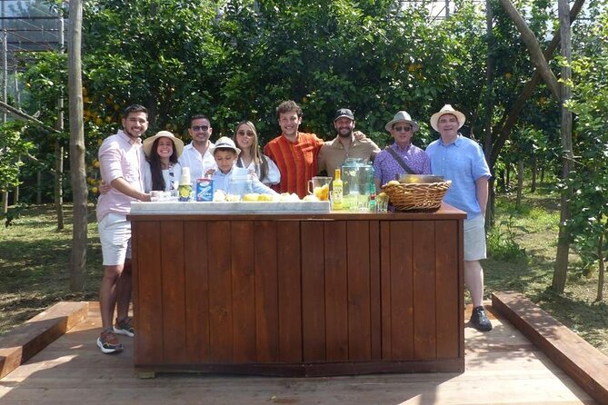 4 Hours Guided Tour of the Limoneto With Pasta Cooking Class
