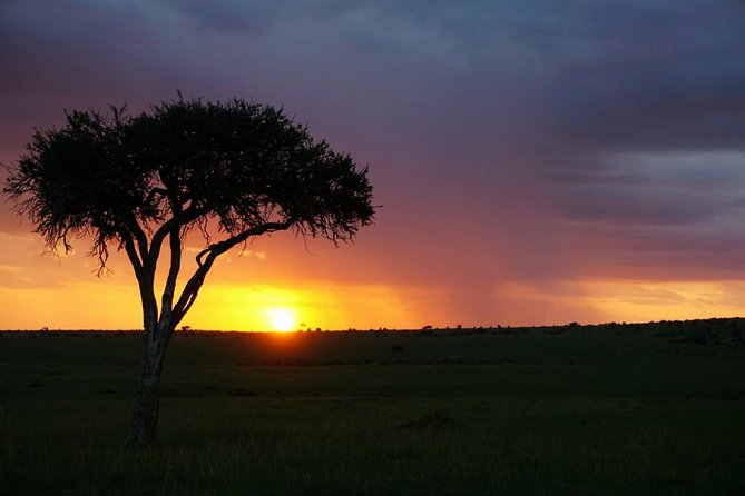 4 Hours Nairobi National Park