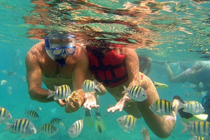4 Hours Punta Cana Speed Boat and Snorkeling Experience - Overview of the Experience