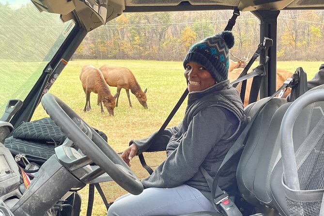 (4 HR) UTV ECO Elk Wilderness Adventure