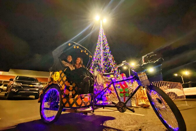 45 Minutes Twinkle Tours in Reno - Overview of Twinkle Tours
