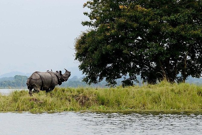 4d/3n Kaziranga Safari Special - Accommodation Details