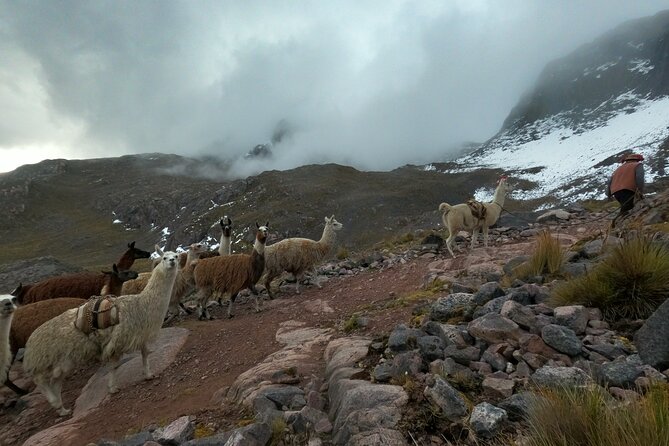4D3N Llama Trek to Machu Picchu & Sacred Valley Journeys