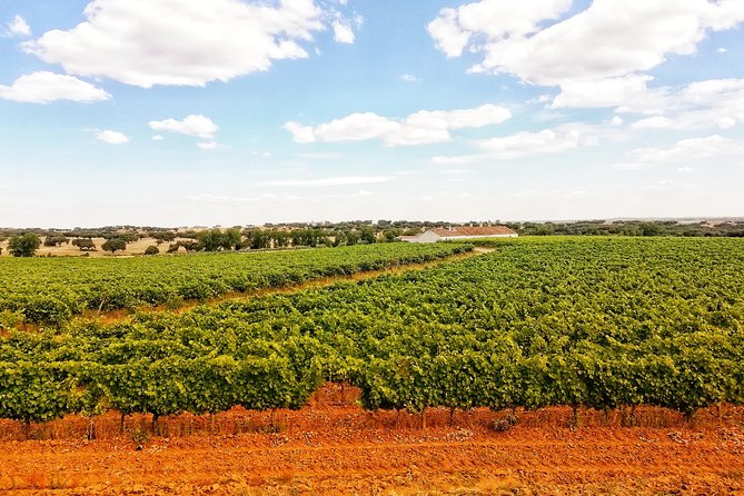 4×4 Cork Tour With Lunch & Wine Tasting