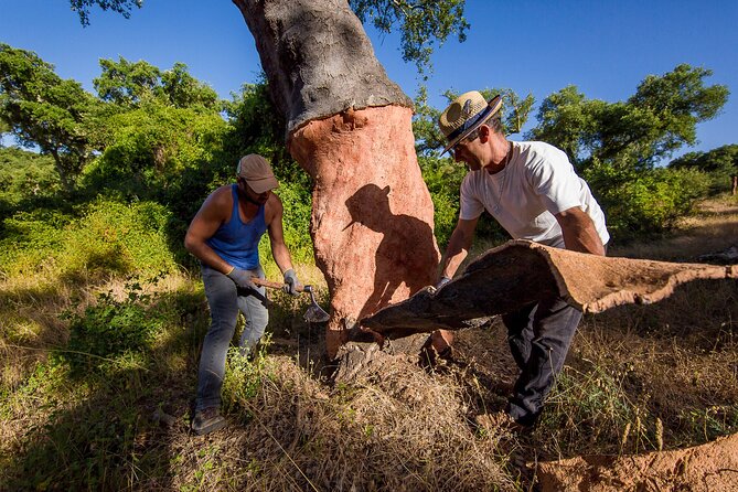 4×4 Cork Tour With Optional Lunch