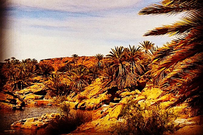 4x4 Excursion to Safsaf Wild Oasis With Traditional Berber Picnic