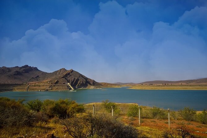 4×4 Jeep Desert Safari Tour With Lunch and Camel Ride - Wildlife Spotting Opportunities