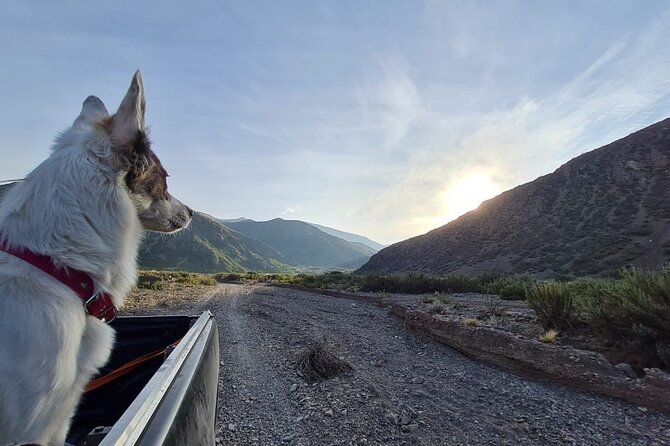 4X4 Tour Villavicencio Bridge of the Inca