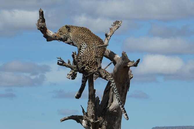 5-Day Group Tour Mid Range