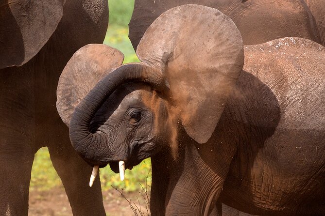 5-Day Private Safari Tour in Northern Tanzania