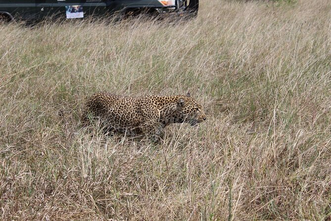 5-Day Private Tour in Kenyas Best Game Parks