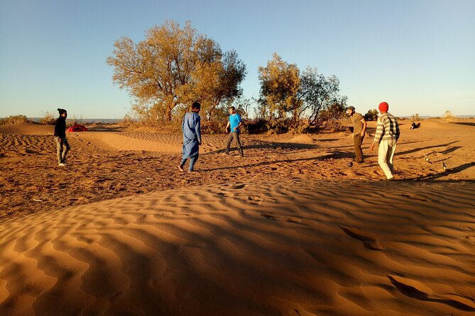 5-Day Trek – in the Draa Valley