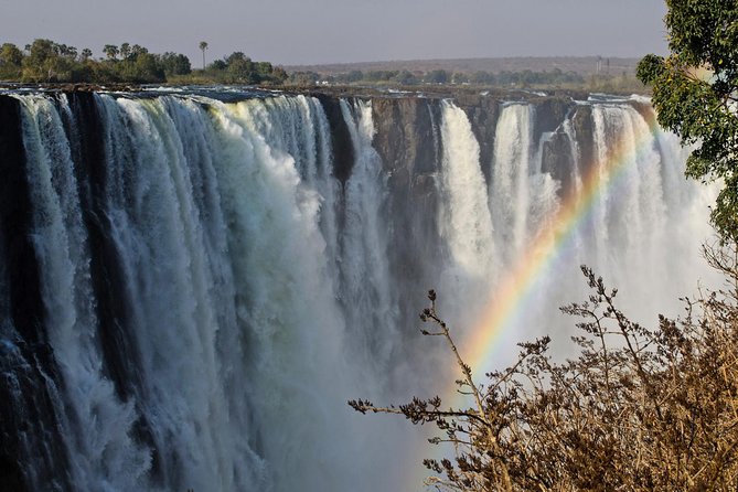 5 Day Victoria Falls and Chobe National Park Luxury Accommodated Tour