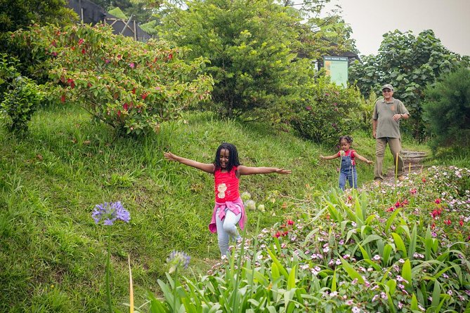 5 Days, 4 Nights Backpacking Kingston Jamaica
