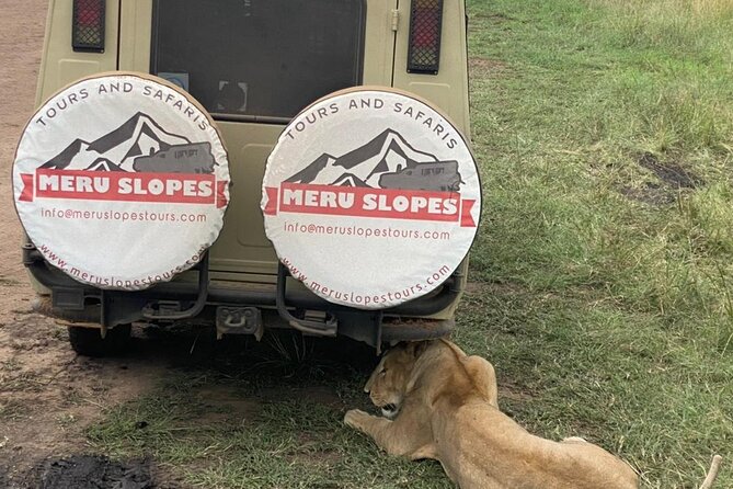 5 Days Camping Tarangire, Serengeti & Ngorongoro Crater & Visiting Maasai