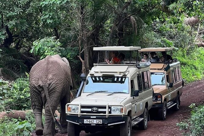 5-Days Lake Manyara, Serengeti, Ngorongoro Crater and Tarangire