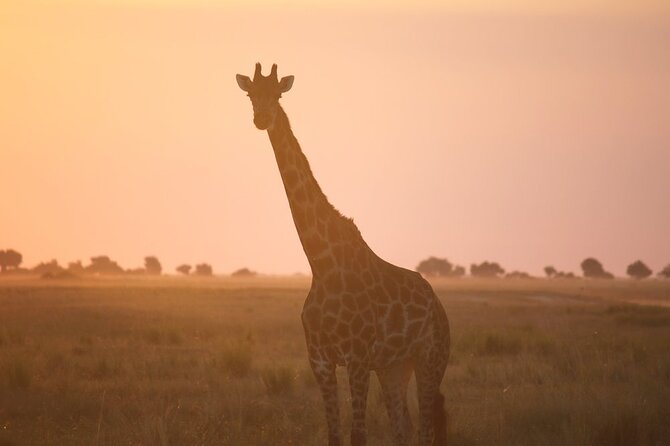 5 Days Northern Tanzania Budget Group Joining Safari