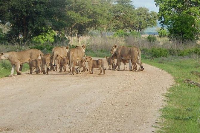 5 Days Safari Selous GR and Mikumi NP - Accommodations and Meals