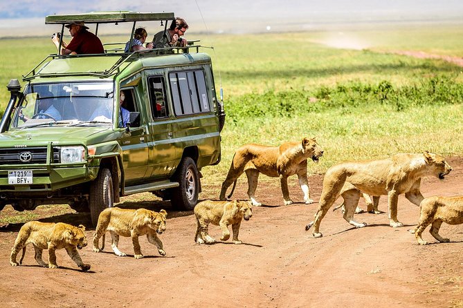 5 Days Tanzania Safari – Tarangire, Serengeti, Ngorongoro, and Lake Manyara