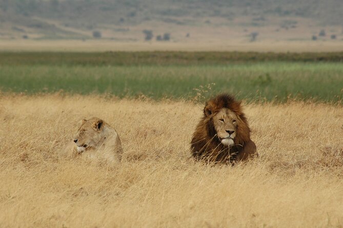 5 Days Tour Tarangire, Serengeti, Ngorongoro Crater & Lake Manyara Park-Midrange