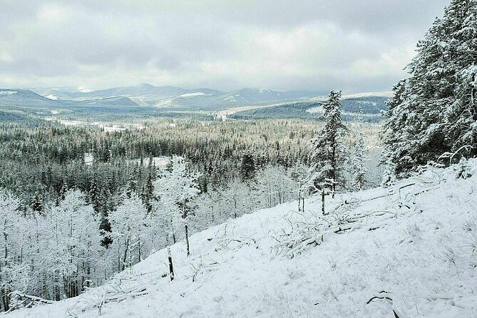 5 Hours Winter Wonderland Guided Hike to Fullerton Loop - Hiking Equipment and Gear