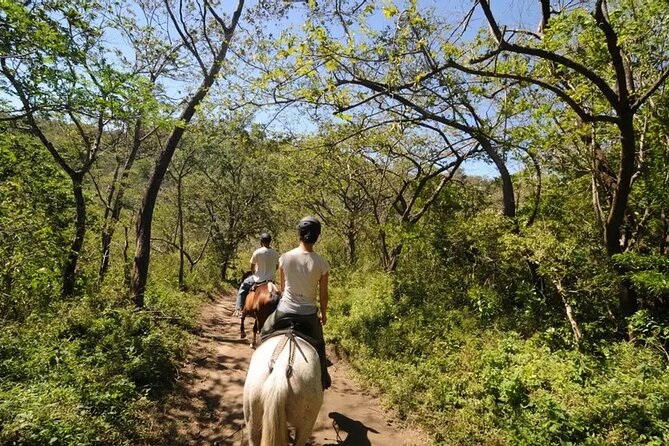 5-In-1 Rincon De La Vieja National Park Buena Vista Eco Adventure Day Tour