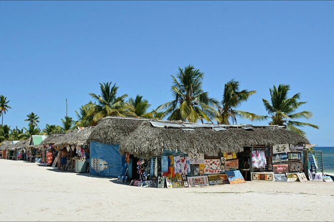 6 + 1 Full Day Isla Saona Tour and Snorkel in Natural Pool Mangroves Bayahibe