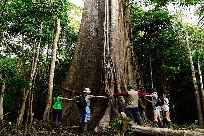 6-Day All Inclusive Private Guided Pacaya Samiria National Reserve From Iquitos