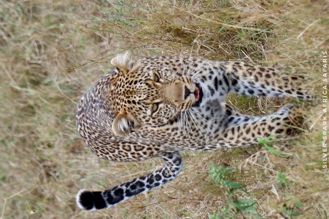 6-Day Maasai Mara Reserve, Lake Naivasha, Amboseli National Park